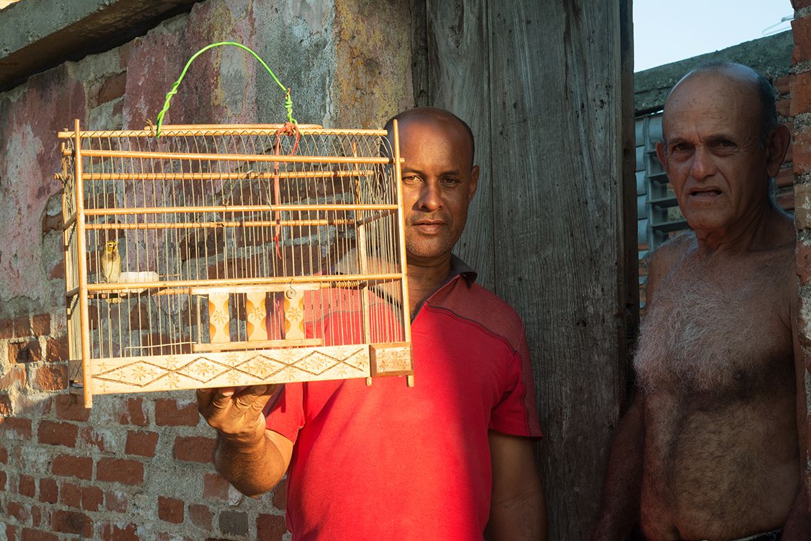 Cubanidad